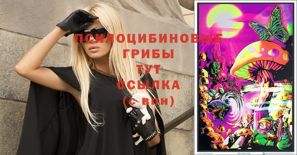 ПСИЛОЦИБИНОВЫЕ ГРИБЫ Горнозаводск